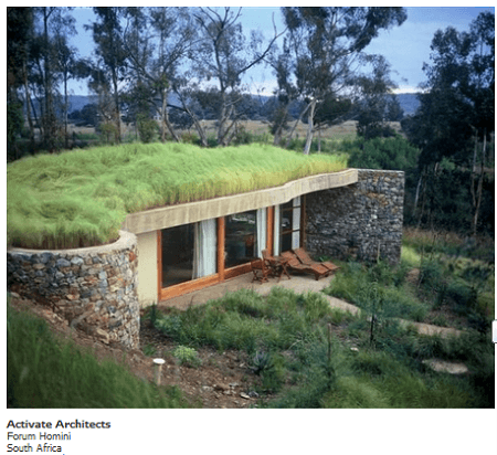 Techos organicos o verdes para fachadas de casas